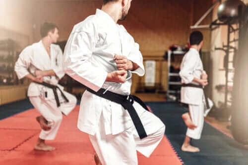 Forskjellene mellom karate og taekwondo