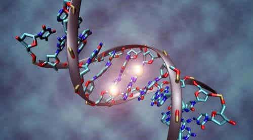 En DNA-streng