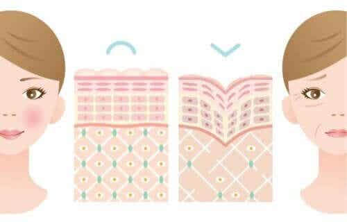 En kvinne som tar kollagen for leddhelse kontra en kvinne som har rynker