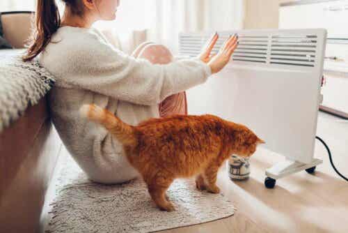 En kvinne og en katt foran en elektrisk ovn