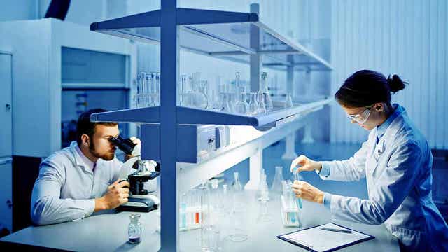 Labteknikere som analyserer en biopsi av skjoldbruskkjertelen.