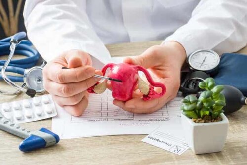 En lege med en modell av en livmor