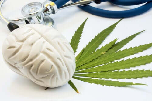 Effekten av cannabis på hjernen