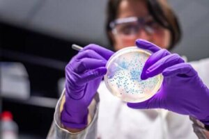 Hvordan forhindre antibiotikaresistens