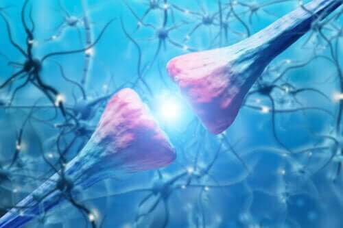 Kjennetegnene og funksjonen til nevroner