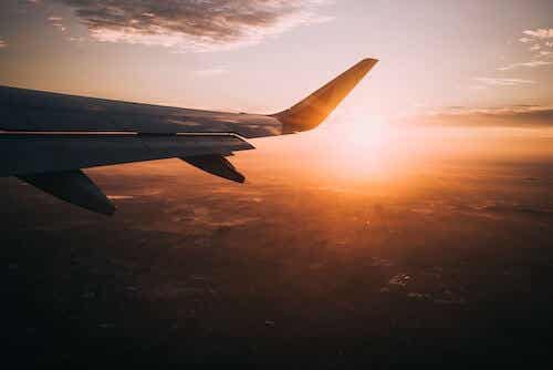 Et fly i luften