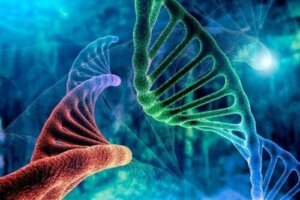 Bruk, risiko og fordeler med biologisk terapi