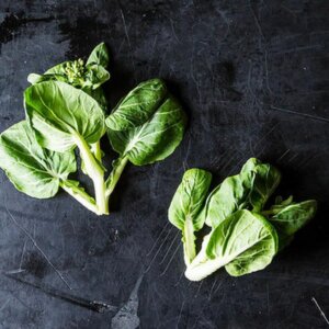 Tatsoi salatplante: opprinnelse, næringsstoffer og en oppskrift