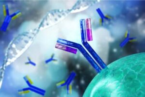 Kjennetegn ved en antinukleær antistofftest