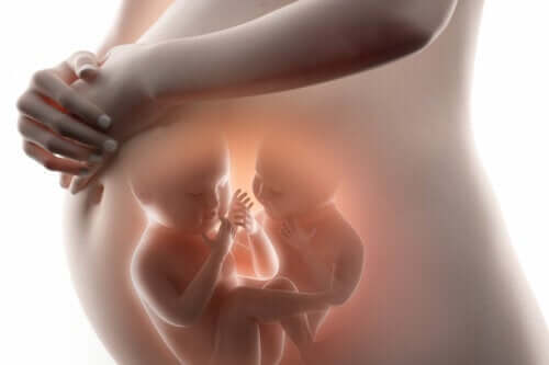 Superfetasjon eller å bli gravid mens du allerede er gravid