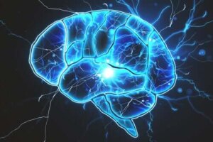 Er det bakterier i hjernen?