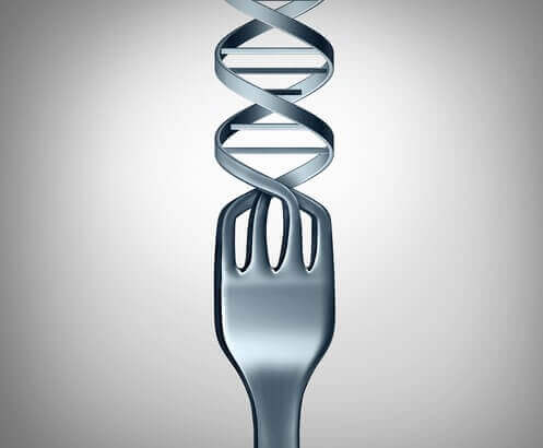 Næringsgenetikk og forholdet mellom mat og gener