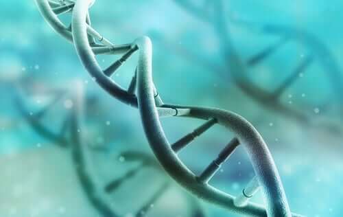 Oppdag hvordan DNA fungerer