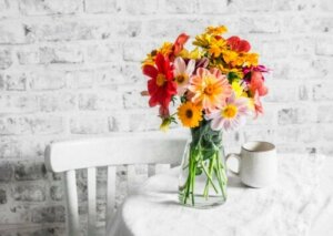 8 høstblomster du kan plante i hagen din