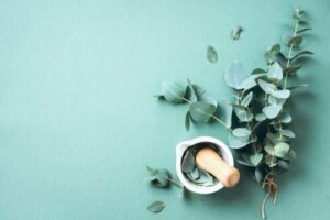 De store fordelene med eukalyptus