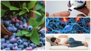 12 overraskende fordeler med å spise blåbær