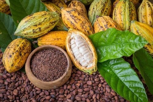 Fordelene med kakao for helse og skjønnhet
