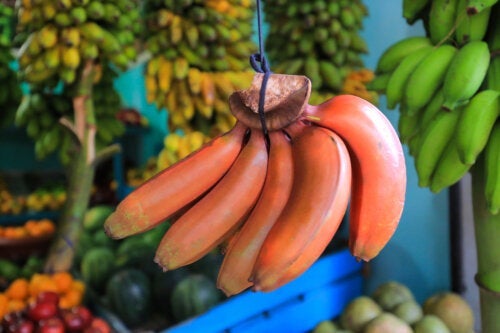Røde bananer: Hva er fordelene deres?