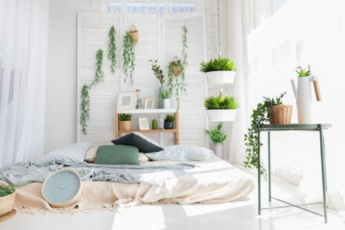 Å sove med planter på soverommet: stjeler de oksygenet vårt?