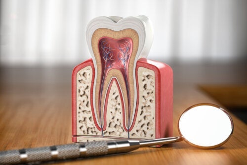 Hva er tenner laget av?