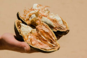 Baobabfrukt: Egenskaper, fordeler og kontraindikasjoner