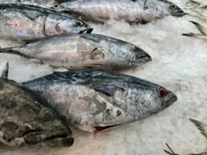 Hvordan identifisere dårlig fisk