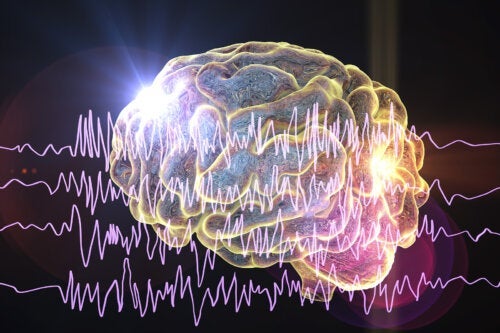 De 5 typene hjernebølger