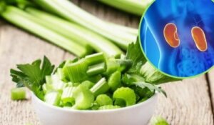 Fem urtemidler for å bekjempe nyresmerter