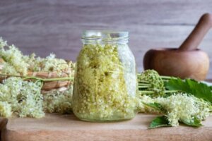 Mjødurt: Mulige fordeler og kontraindikasjoner