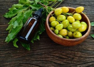 Slik bruker du Neem-olje for å ta vare på hageplantene dine