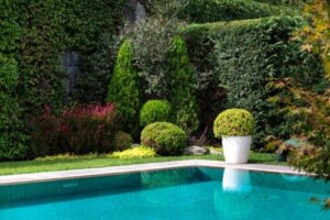 8 flotte planter du kan sette rundt et basseng
