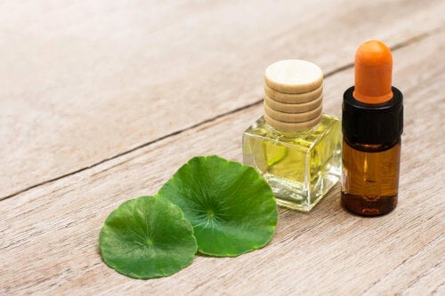 Hvorfor er Centella Asiatica bra for huden?