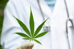 Cannabisbruk for MS-symptomer: Hva er effektene?