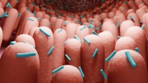 Postbiotika: hva er det og hvordan får jeg det?