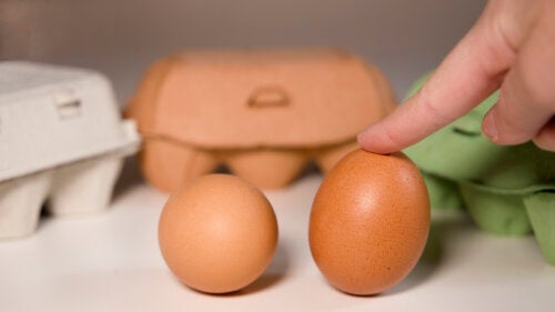 Er det dumt å spise rå egg?