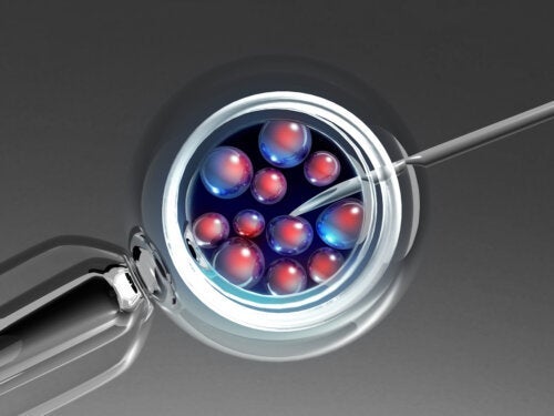 Embryooverføring: Hvordan og hvorfor utføres det?