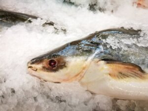 Steinbit: Ernæring, fordeler og mulige risikoer