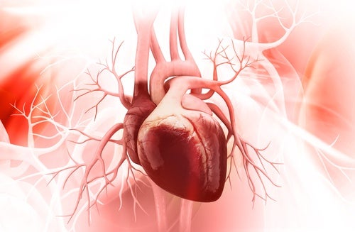 5 nøkler for å forhindre Knust hjerte-syndrom