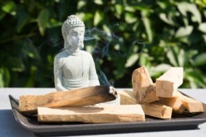 Palo santo: Fordelene og bruken av "Hellig tre"