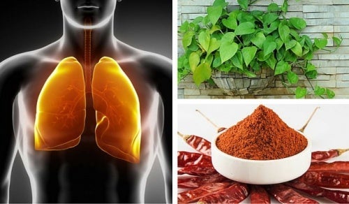 Hvordan utføre en lunge- og bronkial rens