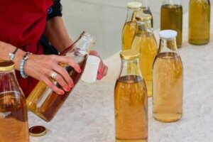 Egenskapene til, og risikoer forbundet med Kombucha-te