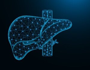Portal hypertensjon: årsaker, symptomer, diagnose og behandling