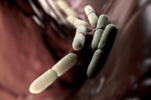 Auto-brewery syndrom: hvorfor oppstår det?