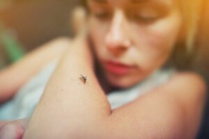 Dengue-vaksinen: Alt du trenger å vite om den