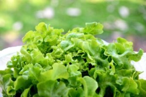 Kan salat-te hjelpe meg med å sove bedre?