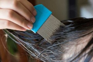 Hvordan bli kvitt hodelus naturlig