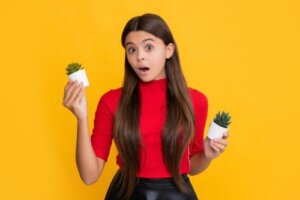 Er kaktuser og sukkulenter det samme? Finn ut hvorfor de ikke er det