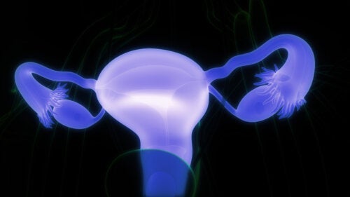 Dermoidcyster på eggstokkene: symptomer og når du bør oppsøke lege