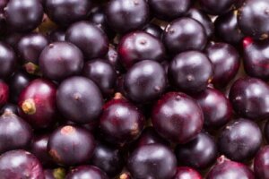 Rensing med acai bær: Hvorfor er det en farlig trend?