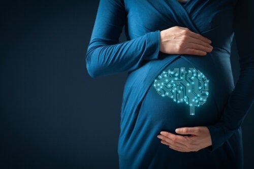 Graviditet utløser hjerneforandringer, viser studier